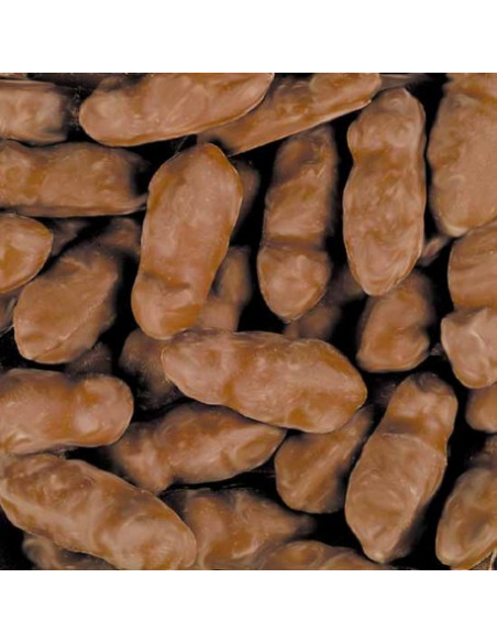 souris au caramel chocolat souris au caramel chocolat