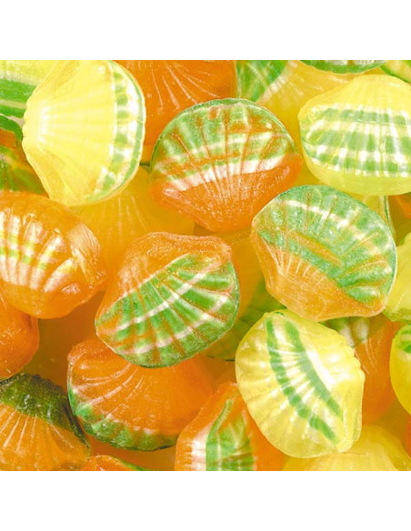 bonbon coquillage bretagne maison guella cancale